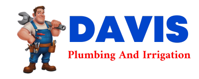 Trusted plumber in THREE RIVERS